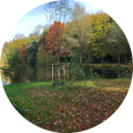 Tilburg-park.png